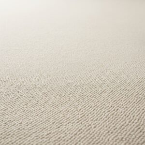 A close-up of a freshly vacuumed and cleaned office carpet